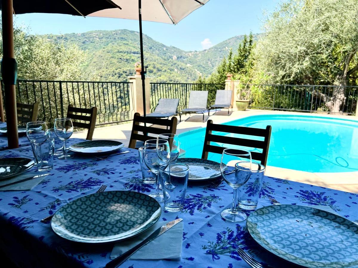 Entre Nice Et Monaco Grande Villa Avec Piscine Privee 12 Personnes Drap Eksteriør billede
