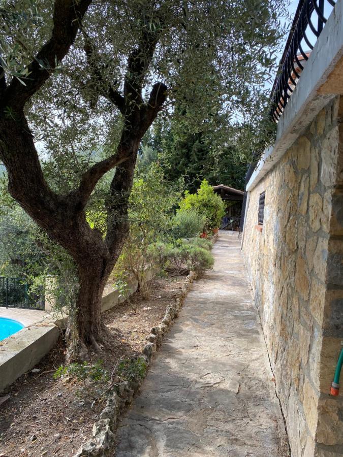 Entre Nice Et Monaco Grande Villa Avec Piscine Privee 12 Personnes Drap Eksteriør billede