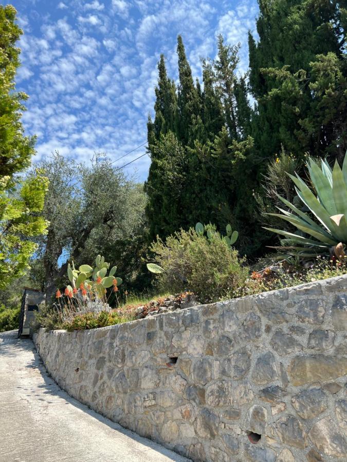 Entre Nice Et Monaco Grande Villa Avec Piscine Privee 12 Personnes Drap Eksteriør billede