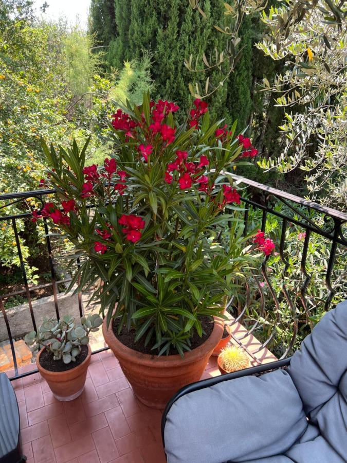 Entre Nice Et Monaco Grande Villa Avec Piscine Privee 12 Personnes Drap Eksteriør billede